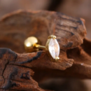 Zirconia Saloni studs